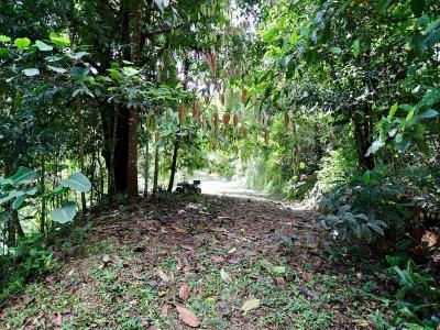 Dominical Aguirre, Puntarenas 00001, Costa Rica