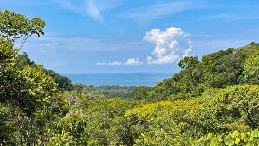 Ojochal Puerto Cortés Osa, Puntarenas 00001, Costa Rica