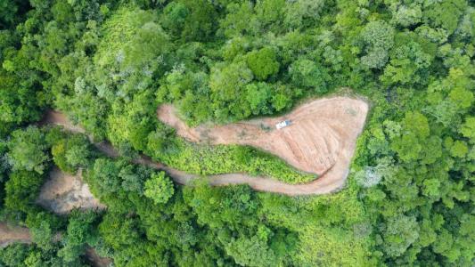Ojochal Puerto Cortés Osa, Puntarenas 00001, 哥斯達尼加