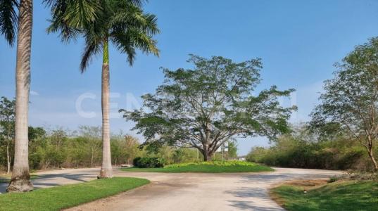 Conkal, Yucatan 97345, Mexico