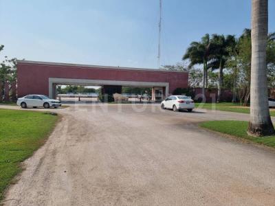Conkal, Yucatán 97345, México