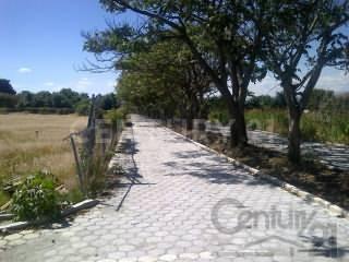 Atlixco, Puebla 74210, Meksyk