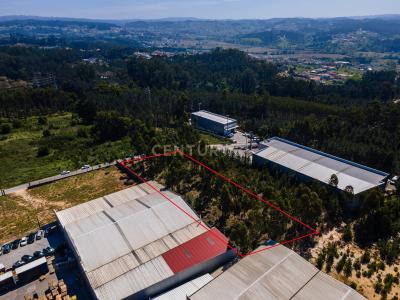 Leiria, Leiria 2400-000, Portogallo