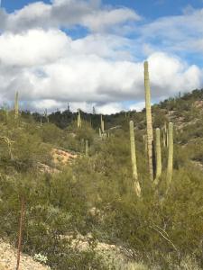 86.346 AC. Stonehedge Ranch Road #6, Wickenburg, Arizona 85390, USA