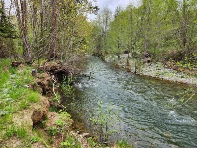 967 Placer Road Road, Wolf Creek, 奧勒崗州 97497, 美國