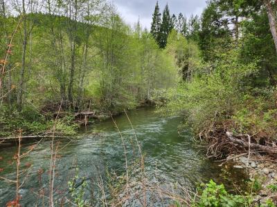 967 Placer Road Road, Wolf Creek, 奧勒崗州 97497, 美國