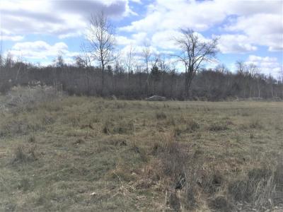 ESH 51 Lot Pebble Beach Drive, Hazle Twp, Pennsylvania 18202, HOA KỲ
