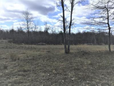 ESH 51 Lot Pebble Beach Drive, Hazle Twp, Pennsylvania 18202, HOA KỲ