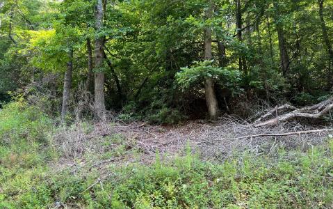 Tr 1 Fires Creek Cove Road, Hayesville, North Carolina 28904
