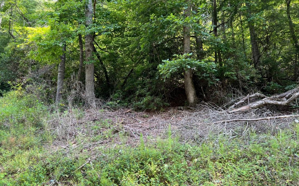 Tr 1 Fires Creek Cove Road, Hayesville, North Carolina 28904, USA