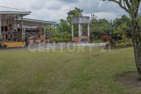 Armenia, Quindio 00001, Colombia