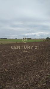 Ruta 12 km 94 000, Tala, Canelones 00001, Uruguay
