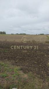 Ruta 12 km 94 000, Tala, Canelones 00001, Uruguay