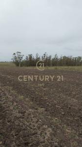 Ruta 12 km 94 000, Tala, Canelones 00001, Uruguay