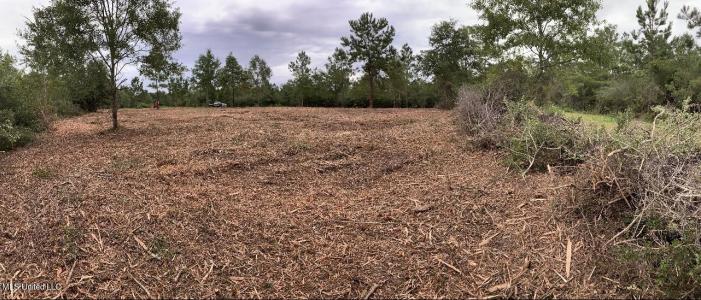 Clear Lake Road, McHenry, Mississippi 39561