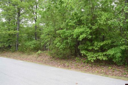 Lot 15 BRECKENRIDGE COURT, Mountain Home, Arkansas 72653, HOA KỲ