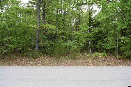 Lot 15 BRECKENRIDGE COURT, Mountain Home, アーカンソー 72653, アメリカ合衆国