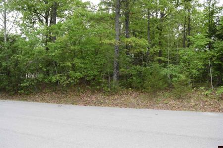 Lot 15 BRECKENRIDGE COURT, Mountain Home, アーカンソー 72653, アメリカ合衆国