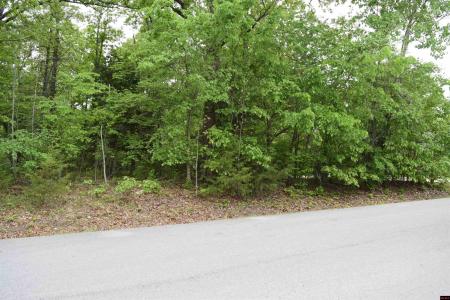 Lot 15 BRECKENRIDGE COURT, Mountain Home, アーカンソー 72653, アメリカ合衆国