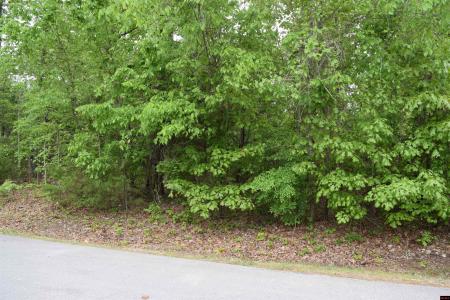 Lot 15 BRECKENRIDGE COURT, Mountain Home, アーカンソー 72653, アメリカ合衆国