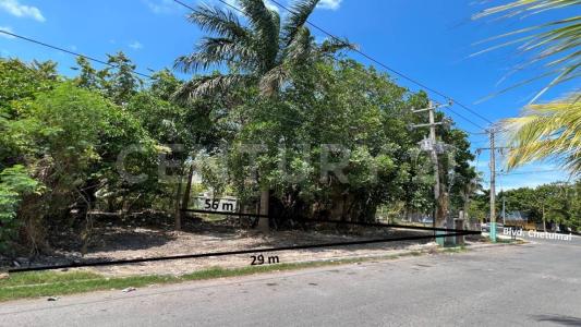 Othon P Blanco, 킨 타나 77098, 멕시코