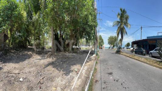 Othon P Blanco, Quintana Roo 77098, México