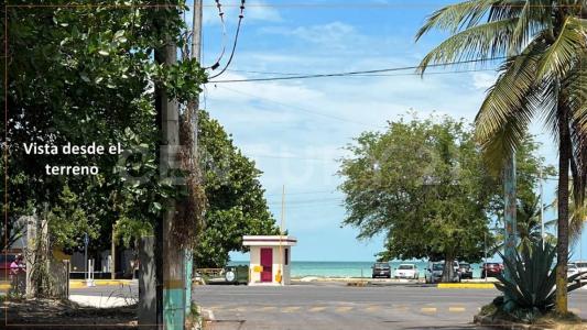 Othon P Blanco, Quintana Roo 77098, México