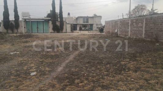 PRIVADA SIN  NOMBRE BO. SAN ANTONIO SAN MARCOS JIL S/N,, Hueypoxtla, Estado De México 55670, México