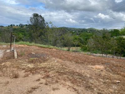 South Summit, Angels Camp, カリフォルニア 95222, アメリカ合衆国