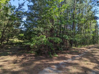 Corner Lot - Fairview Rd., Camden, Arkansas 71701, Estados Unidos