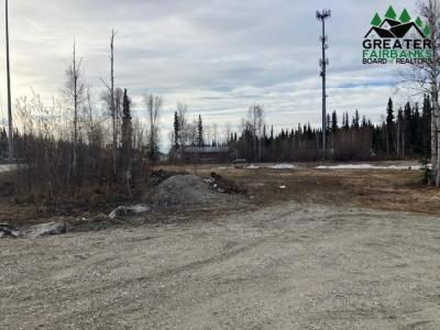 71 SAINT NICHOLAS DRIVE, North Pole, Alaska 99705, Stati Uniti