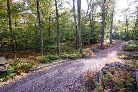 97 Homestead, White Lake, Nova Iorque 12786, Estados Unidos