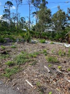 7261 Guava Avenue, Bokeelia, Florida 33922, USA