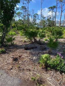 7261 Guava Avenue, Bokeelia, Florida 33922, USA