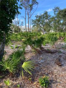 7261 Guava Avenue, Bokeelia, Florida 33922, USA
