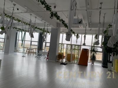 Bayanzürkh, Mongolia