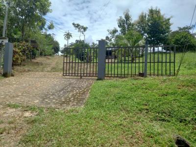 Dominical Bahía Ballena Osa, プンタレナス 00001, コスタリカ