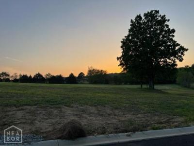 6 Lot 6 Rolling Meadows, Brookland, Arkansas 72417, Amerika Birleşik Devletleri