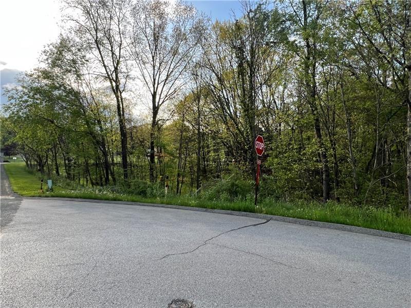 Lot #1 Woodhaven Dr, Buffalo Twp - But, Pensylwania 16055, USA