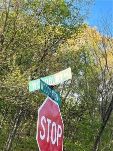 Lot #1 Woodhaven Dr, Buffalo Twp - But, Pensylwania 16055, USA