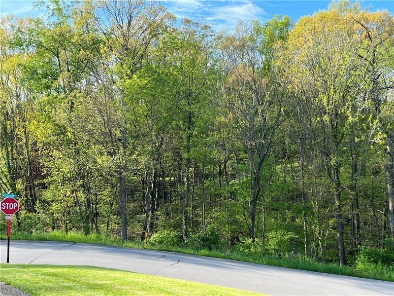 Lot #2 Woodhaven Dr, Buffalo Twp - But, بنسلفانيا 16055, الولايات المتحدة
