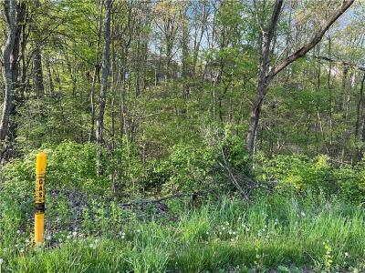 Lot #2 Woodhaven Dr, Buffalo Twp - But, بنسلفانيا 16055, الولايات المتحدة
