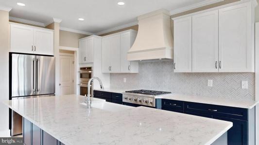 ANTLERED WAY, GEORGETOWN, 特拉华州 19947, 美国