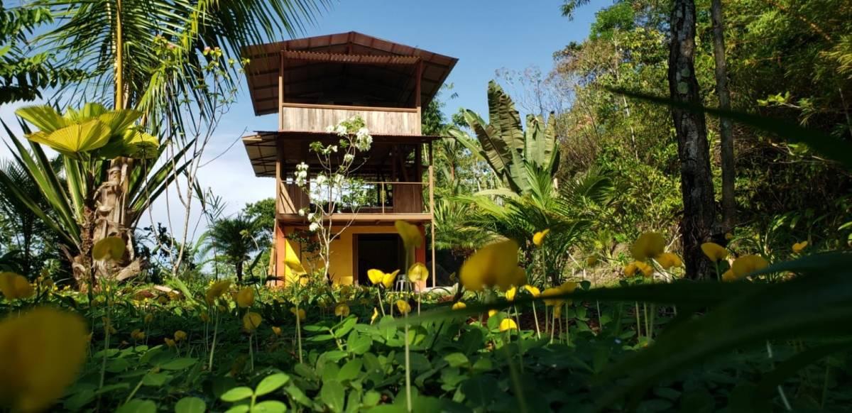 Coronado, Tres Rios , Península De Osa Osa, Puntarenas 00001, Costa Rica