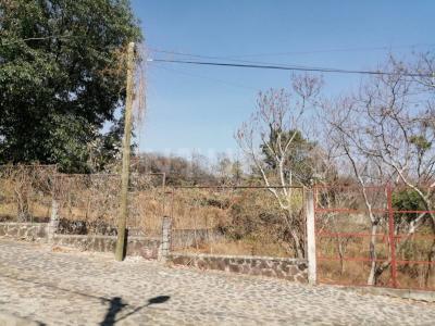 José María Morelos S/N,, Malinalco, Estado De México 52440, México