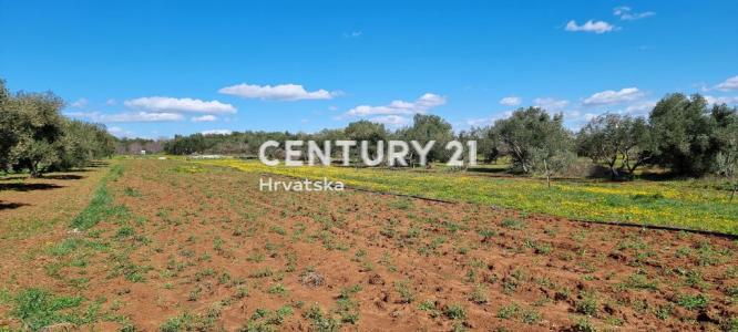 Biograd na Moru, Biograd Na Moru, Zadarska Županija 23210, 크로아티아