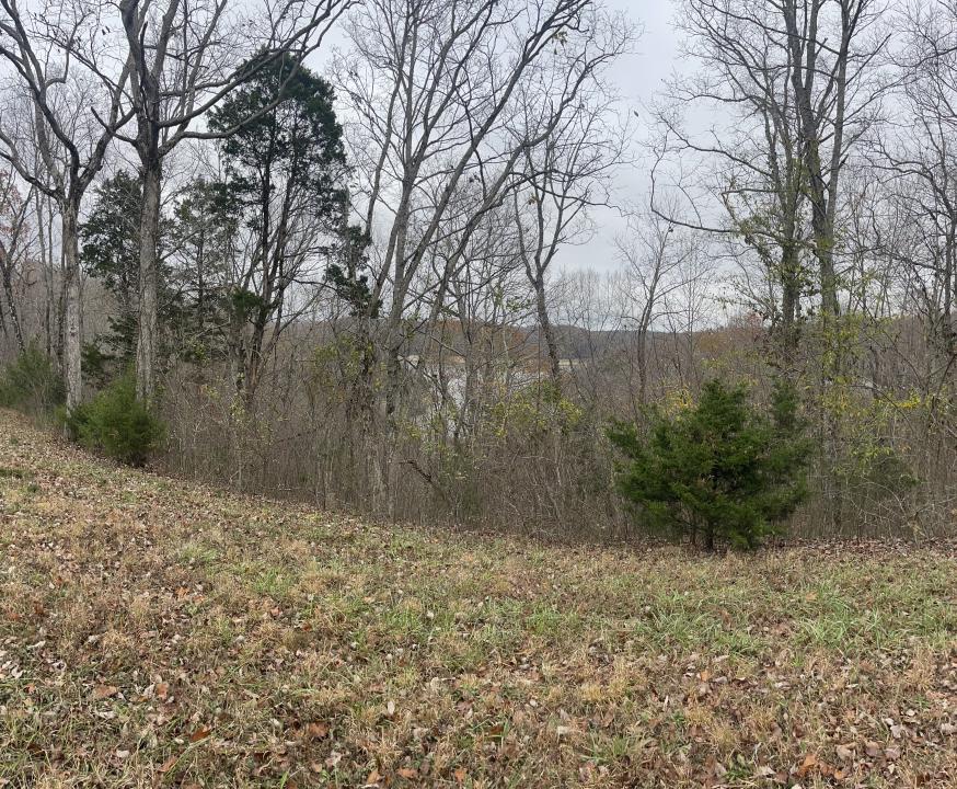 Lot 59 Cumberland Shores , Monticello, קנטאקי 42633, ארצות הברית של אמריקה 