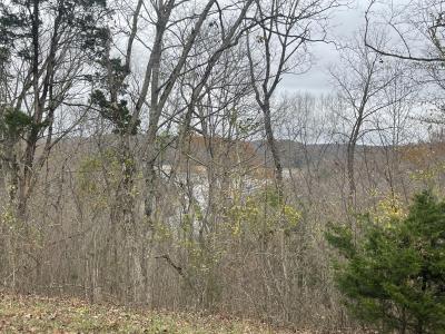 Lot 59 Cumberland Shores , Monticello, קנטאקי 42633, ארצות הברית של אמריקה 