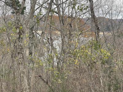 Lot 59 Cumberland Shores , Monticello, קנטאקי 42633, ארצות הברית של אמריקה 