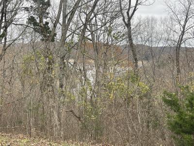 Lot 59 Cumberland Shores , Monticello, קנטאקי 42633, ארצות הברית של אמריקה 